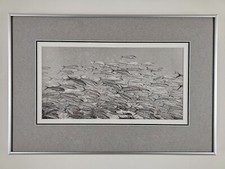 ART - Original Prize Winning Photograph - Ellan Young 19.5x13.25 Framed B&W Fish picture