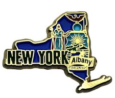New York State Of Capital Albany Hat lapel Pin AVA F1D30O picture