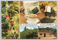 Vintage Postcard Cartagena Colombia Coffee Beans Cup Plant Hacienda Multi View picture