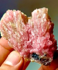 132 Gram Pink Tourmaline Crystal Bunch Specimen from Afghanistan picture