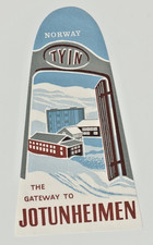 TYIN NORWAY GATEWAY TO JOTUNHEIMAN VINTAGE TOURIST TRAVEL BAGGAGE LUGGAGE LABEL picture