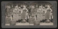 Photo:Belgrade Serbia 1900s Peasant Girls Market Scene Traditional Dress picture