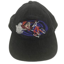 Vtg 1997 Looney Tunes Taz Tasmanian Devil Six Flags Hat Snapback Cap Gray Youth picture