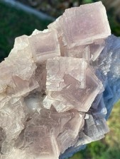 XL Pink / Gray cubic Fluorite cluster with phantoms See video picture