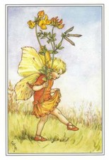 Flower Fairy Postcard: Bird's Foot Trefoil Fairy, Skipping Happily, Lotus family picture