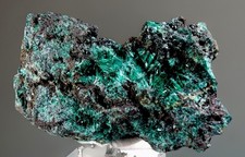 Brochantite Xls: Silver Bell Mine , Mineral Mountain, Pima County , Arizona 🇺🇸 picture