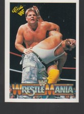 Bushwhackers/Rougeau Brothers  1990 Classic WWF History of WrestleMania #91  picture