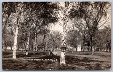 K51/ Alden Iowa RPPC Postcard c1910 City Park Man Band Stand 40 picture