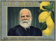 Whittier Los Angeles County Pio Pico Lemon Citrus Fruit Crate Label Art Print picture