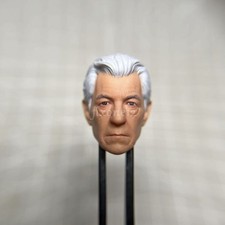 Painted 1/18 1/12 1/10 Ian McKellen Magneto Head Sculpt fit 3.75