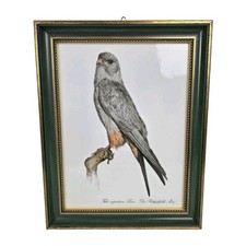 Vintage Swedish Rörstrand Porcelain Plaque Red-footed Falcon By Hans Arnaft picture