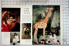 Sophia Loren & Carlo Ponti Jr. Life Magazine Article Giraffe Photo Ephemera picture