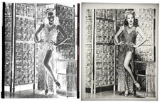 1943 Betty Grable WWII 20th Century Fox Frank Powolny 8x10 Negative + Photograph picture