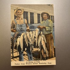 1950sGreat Kentucky Dam Beautiful Kentucky Lake 20 Embossed 3.5” X 2.5” Cards picture