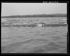 Photo:Maine 1943 Brown Company Spring Wood Pulp Drive Log Boom picture