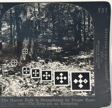 Keystone Diagnostic Series – Forest Depth Visual Acuity Training Stereoview Card picture