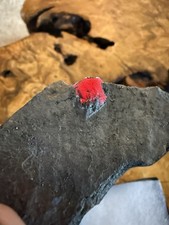 “Burning Embers” Almandine Garnet From Red Embers Mine Erving Mass, USA 34g picture