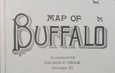 Vintage 1901 BUFFALO NEW YORK Map 14