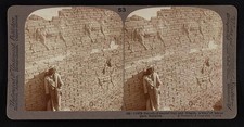 Babylon Iraq 1900s Ishtar Gate Sacred Bull Dragon Wall Reliefs Stereograph picture