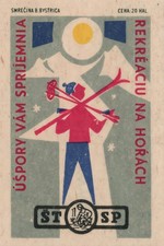 1930s Winter Ski Poster 🎿 | Premium 💎 Art Print 16x24” 200GSM Paper picture