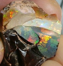 BIG 58ct Ethiopian Chocolate Shewa Opal Rough ~ Multicolored Flash picture