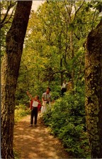 Family Hiking Stony Man Trail Skyland Shenandoah National Park Vintage Postcard picture