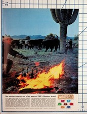 1963 Western Gear Corp Ad Cowboy Branding Cattle Saguaro Cactus Vintage Print picture