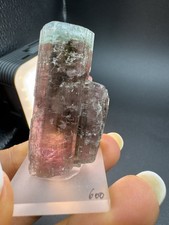 Dravit Elbaite Crystal (36gr) Watermelon Dravite Elbaite Tanzania picture