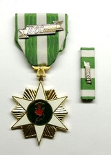 U.S. Vietnam Campaign Star Military Medal with RIBBON picture
