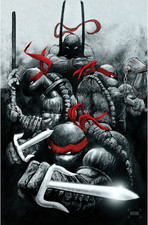 Teenage Mutant Ninja Turtles #20 Jeff Monk 300th Issue Special Cover IDW LTD 500 picture