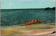 c1960s HARRIS CHAIN OF LAKES, Florida Postcard SCULLING in Little Lake Harris picture