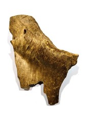 510 gr 1 pcs Aquilaria malacensis agarwood aromatherapy Ornament from Kalimantan picture