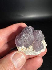 Navidad Fluorite Rodeo, Durango, Mex 60 Grams picture