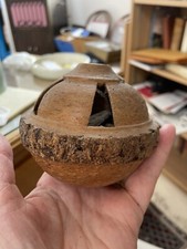Interesting Carved Brazil Nut Pod  picture