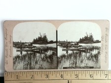 Canoeing Georgian Bay District Stereoview The Canada View Company c1901 Canada picture