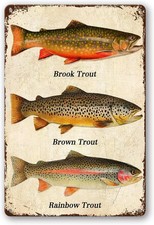 Fish Rainbow Trout Brook Trout Brown Trout Tin Metal Signs Home Décor Vintage W picture