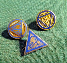 Lot 3 Tiny Vintage Brooch Pins YWCA GR Young Women's Christian Association Girls picture