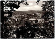 Waldheim Germany Partial View Town Church Buildings Through Trees RPPC Postcard picture