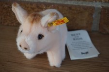 Plush STEIFF Baby Pig Piglet Peach Stuffed Animal Doll 071898 Sissi Schwein Pink picture