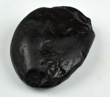 Matsya Shaligram- Gandaki River-69 Gram/2.48