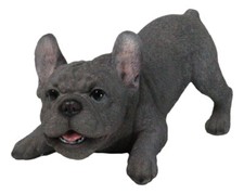 Realistic Adorable Grey French Bulldog Puppy Dog Crouching Frenchie Figurine picture