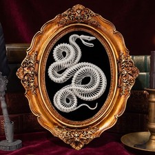 real snake skeleton taxidermy, snake skull fangs, python, anaconda oddities picture