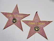 Donald Trump Hollywood Walk of Fame Star Replicas – Protest Art Vinyl Decals – 2 picture