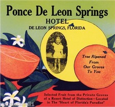 De Leon Springs Florida Ponce De Leon Orange Citrus Fruit Crate Label Art Print picture