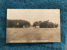 RPPC Lakeville Michigan Cottage Island Unposted Flower Photo c1910 picture