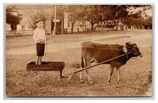 RPPC ~ Sarasota FL ~ Early Street view w Cow Pulled toy Wagon Florida historic picture