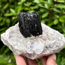 2.14LB Rare black tourmaline and quartzite symbiotic mineral specimen picture