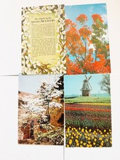 4 Vintage Unused Postcards Flowers Windmill Multi-State Lot Mid-Century picture