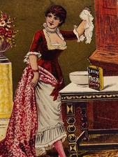 1880s Victorian Trade Card Lavine Powered Soap For Washing Hartford, Conn picture