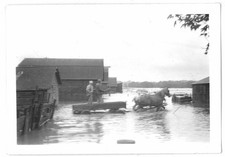 Antique 1946 1947 Flood Hopkinton NH Contoocook River Photo Lot 4 Snapshots picture